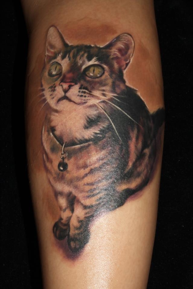 Amazing 3D Cat Tattoos