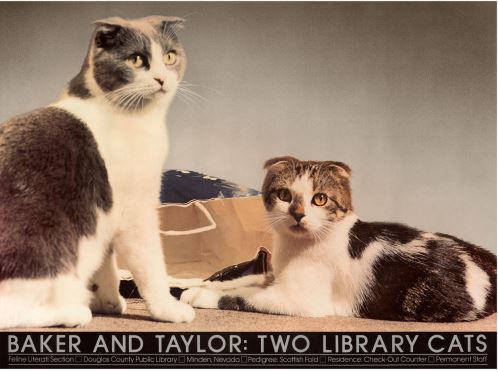 Baker & Taylor Library Cats