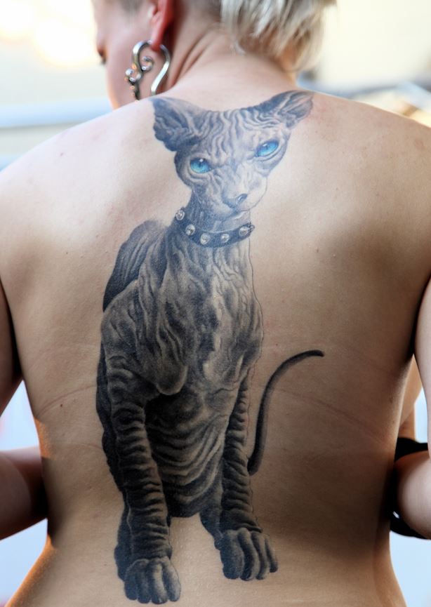 Sphinx full back cat tattoo