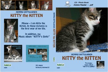 Kitty the Kitten photo