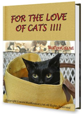 Cat Lovers eBook
