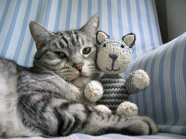 knitting cat toys