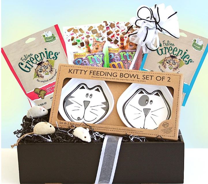 I love cats gift box