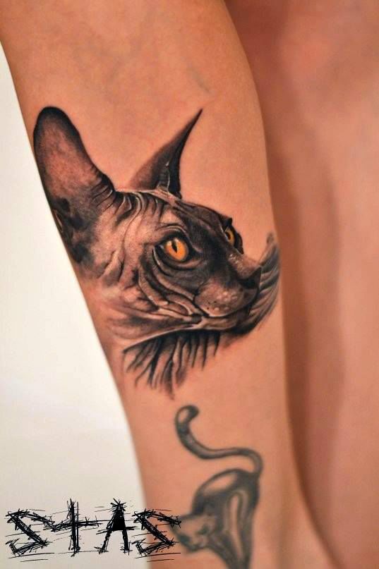 Cornish rex cat tattoo