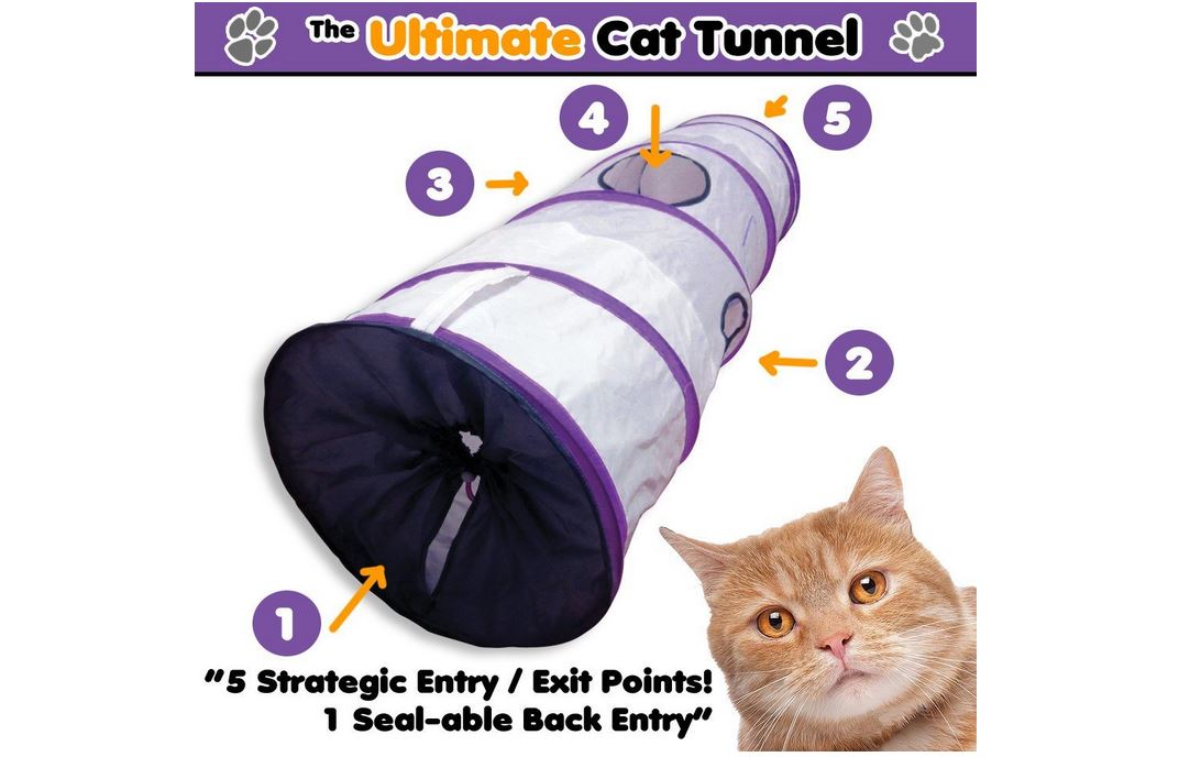 The ultimate cat tunnel multiple exits