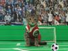 Soccerkittens