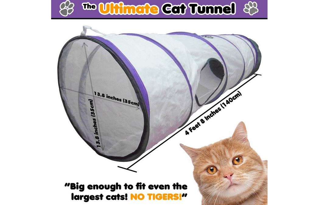 The ultimate cat tunnel review