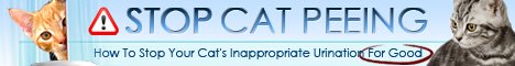 Stop cat urinating outside box