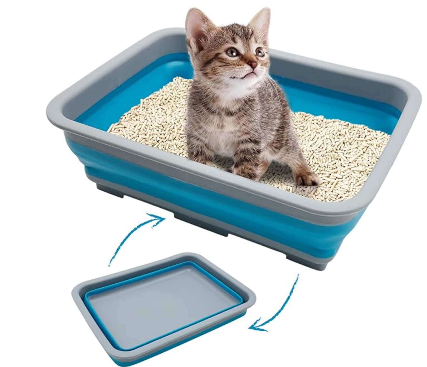 AMZ kitten litter starter