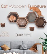 Cat Mode Toys