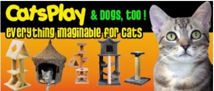 Cat play house